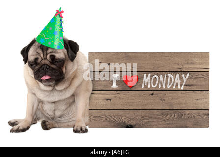 Mops Welpen Hund trägt Partyhut sitzen neben Holzschild mit Text, dass ich Montag, isoliert auf weißem Hintergrund Liebe satt Stockfoto