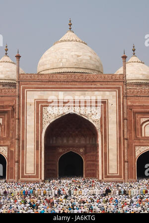 Tausende versammeln sich vor der Moschee am Taj Mahal, das moslemische Festival von Eid Ul-Fitr in Agra, Uttar Pradesh, Indien zu feiern. Stockfoto