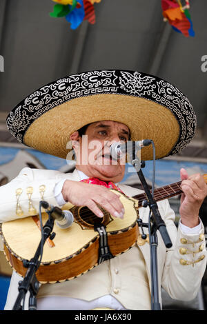 Live-Musik. Mexikanischer Sänger, Mariachi-Musiker, der eine mexikanische Vihuela-Gitarre spielt und bei einem Festival singt, das die Klänge, Kultur und Musik Mexikos zelebriert, männlicher Sänger, Darsteller, traditionelle mexikanische Musik, Mariachi-Darsteller. Stockfoto