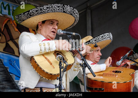 Live-Musik. Mexikanischer Sänger, Mariachi-Musiker, der eine mexikanische Vihuela-Gitarre spielt und bei einem Festival singt, das die Klänge, Kultur und Musik Mexikos zelebriert, männlicher Sänger, Darsteller, traditionelle mexikanische Musik, Mariachi-Darsteller. Stockfoto