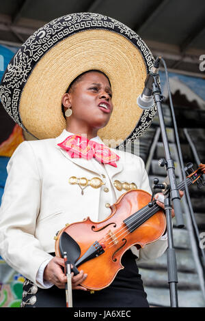 Live-Musik. Mariachi-Geigerin, dunkelhäutige junge Musikerin, die einen mexikanischen Mariachi-Sombrero trägt, gekleidet mit traditioneller mexikanischer Mariachi-Kleidung. Stockfoto