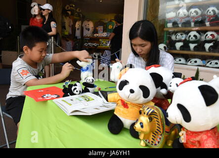 (170824) - HONGKONG, Aug 24, 2017 (Xinhua) -- Menschen Farbe auf Panda Puppen während der "Geboren in China Leben in Sichuan 'Giant panda Ausstellung in der Hong Kong Ocean Park Hong Kong, South China, August 24, 2017. Die Ausstellung von Sichuan gute ökologische Umwelt und Erfolge in der Panda Schutz. (Xinhua / Qin Qing) (mcg) Stockfoto