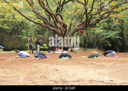 Eine Gruppe von indischen Jugendlichen Cubbon Park, Bangalore, Indien Yoga bei Stockfoto