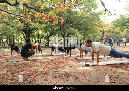 Eine Gruppe von indischen Jugendlichen Cubbon Park, Bangalore, Indien Yoga bei Stockfoto