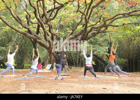 Eine Gruppe von indischen Jugendlichen Cubbon Park, Bangalore, Indien Yoga bei Stockfoto