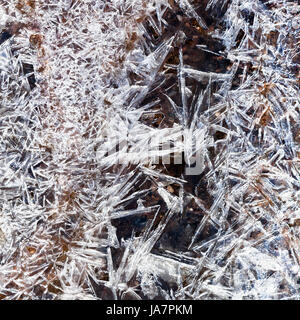 Eiskristalle unter gefrorenen Bach im Frühlingswald Stockfoto