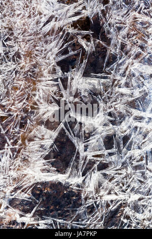 Frost Eiskristalle unter dem gefrorenen Wasser im Frühlingswald Stockfoto