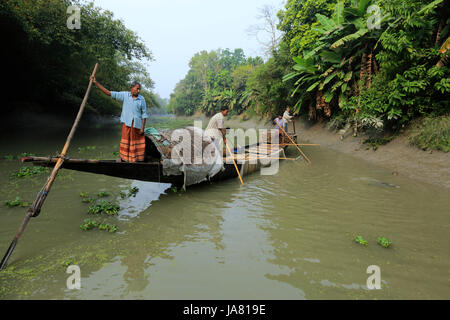 Traditionelle Fischerei mit Otter ausgebildet Otter im Chitra River in Narail Bezirk. Diese Methode ist seit dem 6. Jahrhundert n. Chr. in Var geübt worden Stockfoto