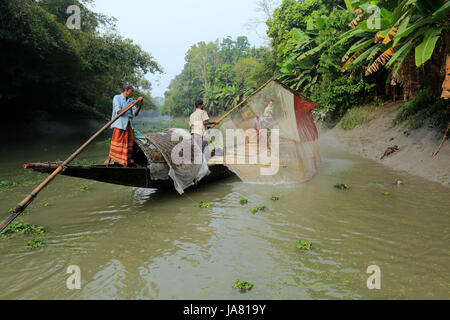 Traditionelle Fischerei mit Otter ausgebildet Otter im Chitra River in Narail Bezirk. Diese Methode ist seit dem 6. Jahrhundert n. Chr. in Var geübt worden Stockfoto