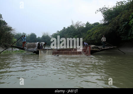 Traditionelle Fischerei mit Otter ausgebildet Otter im Chitra River in Narail Bezirk. Diese Methode ist seit dem 6. Jahrhundert n. Chr. in Var geübt worden Stockfoto