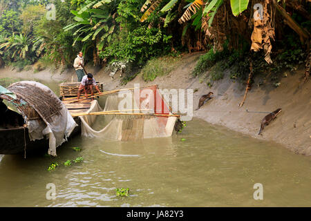 Traditionelle Fischerei mit Otter ausgebildet Otter im Chitra River in Narail Bezirk. Diese Methode ist seit dem 6. Jahrhundert n. Chr. in Var geübt worden Stockfoto