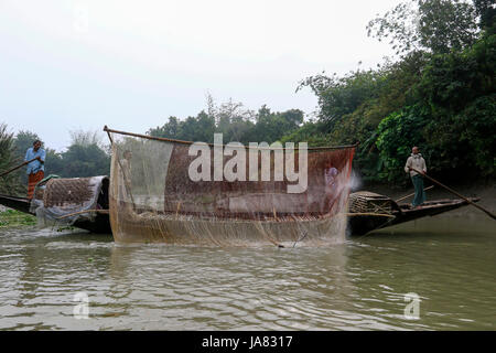 Traditionelle Fischerei mit Otter ausgebildet Otter im Chitra River in Narail Bezirk. Diese Methode ist seit dem 6. Jahrhundert n. Chr. in Var geübt worden Stockfoto