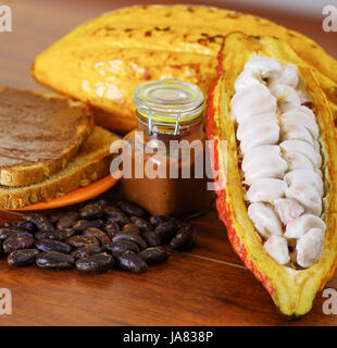 Frische Kakaofrüchte und Bohnen in einen Kakao Hülsen und Kakao Creme über Stück Brot Stockfoto