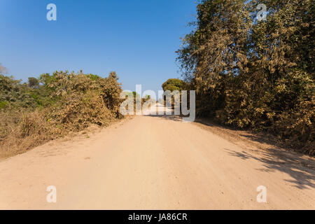 Brasilianische Feldweg in Sicht. Berühmten brasilianischen Transpantaneira Feldweg. Bereich der Pantanal, Brasilien Stockfoto