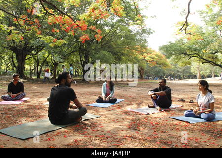 Eine Gruppe von indischen Jugendlichen Cubbon Park, Bangalore, Indien Yoga bei Stockfoto