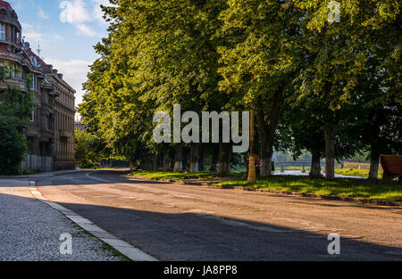 längste Lindenallee in Europa an der Uzh Flußdamm Stockfoto