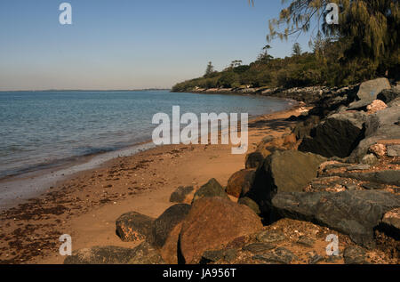 Woody Point, Redcliffe, Australien: Felsenküste der Moreton Bay am Gayundah Arboretum Stockfoto