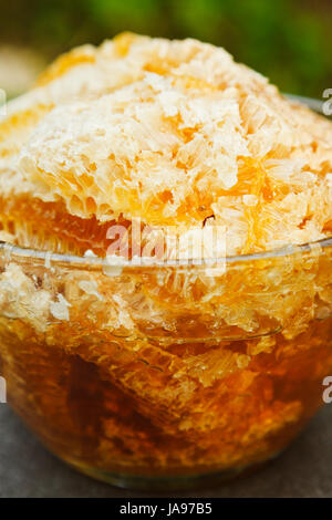 frischer Honig im Kamm in Glasschüssel am Tisch Stockfoto