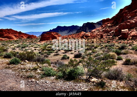 West Rim Grand Canyon, Wüste von Nevada, USA Stockfoto