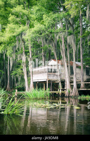 Sumpf-Bayou-Szene des amerikanischen Südens mit alten Bretterbude in kahle Zypresse Bäume und spanischem Moos gebaut Stockfoto