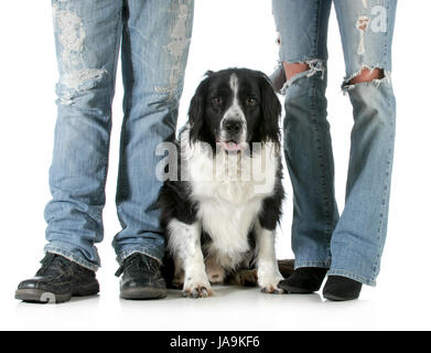 Frau, Beine, Freizeit, Freizeit, Freizeit, Freizeit, isoliert, Haustier, Männlich, Stockfoto
