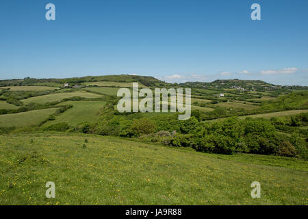 Kleine Felder begrenzt durch Hecken und Bäume in der Nähe von Stonebarrow Hügel östlich von Charmouth in Dorset an einem feinen Frühsommer-Tag im Mai Stockfoto