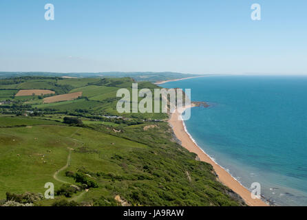 Aussicht vom Gipfel des Golden Cap, dem höchsten Gipfel an der Südküste, Blick nach Osten, entlang der Jurassic Coast Seaton an West Bay, Dorset, Mai übergeben Stockfoto