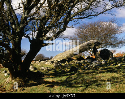 Aussehen von NW am Cors y Gedol neolithische Grabkammer, Dyffryn Ardudwy, Snowdonia, Wales, mit Reste seiner rechteckigen E-W-Cairn. Stockfoto