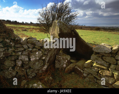 Ansicht SW von Bron-y-Foel Isaf Grabkammer, Ardudwy, Snowdonia: Überreste eines neolithischen Portal Dolmen mit einer Trockenmauer-Feld gebaut gegen sie. Stockfoto