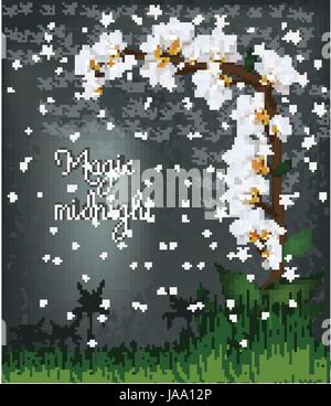 Vektor-weiße Orchidee Pflanze. Motte Mini weiße Orchidee blüht auf dunklem Hintergrund mit Sternen und Worte Magie Mitternacht. Vektor in eps10 gespeichert. Netz. Stock Vektor