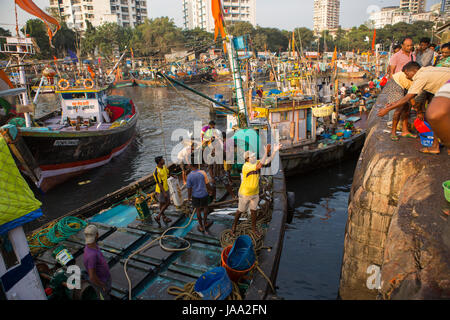 Ein Fischer wirft einen Korb von Fisch bis zu Kai aus seinem Fischerboot bei Sassoon Docks, Mumbai, Indien. Stockfoto