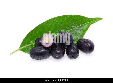 Jambolan Pflaume, Java Pflaume mit Wassertropfen auf weißem Hintergrund Stockfoto