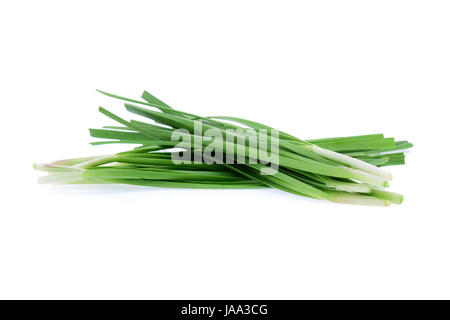 Knoblauch-Schnittlauch isoliert auf weißem Hintergrund Stockfoto