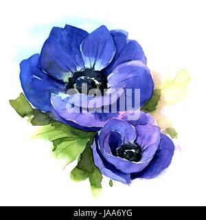Blume Blau Anemone. Handgezeichnete Aquarell Abbildung Stockfoto