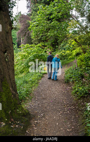 Besucher genießen einen Spaziergang entlang eines Pfads in Trebah Gärten, Cornwall. Stockfoto