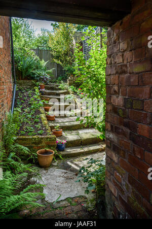 Ein alter Hof Garten mit Steintreppe. Stockfoto