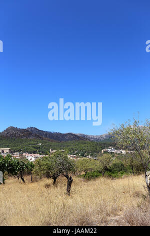 Mallorca, Spanien, Balearen, Katastrophe, Waldbrand, Insel, Insel, Stockfoto