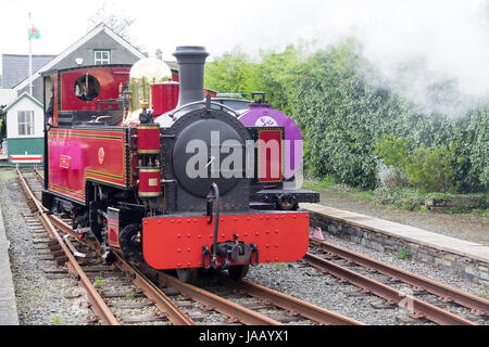 Schmalspur-Dampflokomotive auf der Welsh Highland Heritage Railway, Porthmadog Stockfoto