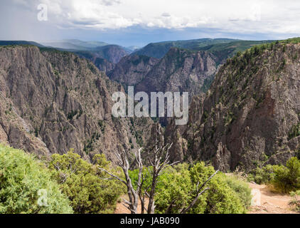 Am Rand der "Black Canyon des Gunnison" Nationalpark (Colorado, USA). Stockfoto