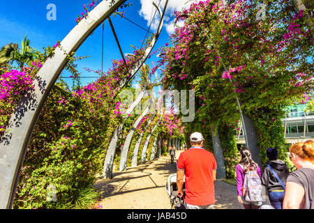 Brisbane River, Southbank und botanische Gärten Stockfoto