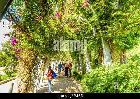 Brisbane River, Southbank und botanische Gärten Stockfoto