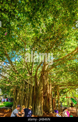 Brisbane River, Southbank und botanische Gärten Stockfoto