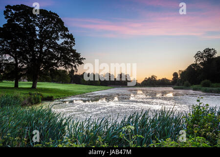 Ein Sommer Sonnenaufgang über dem See bei Lydiard Park in Swindon, Wiltshire. Stockfoto