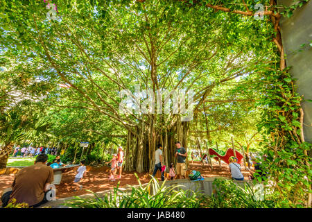 Brisbane River, Southbank und botanische Gärten Stockfoto