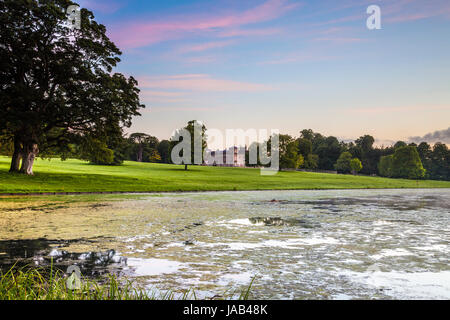 Ein Sommer Sonnenaufgang Blick über den See Lydiard Park in Swindon, Wiltshire in Richtung Lydiard House und Maria Kirche in der Ferne. Stockfoto