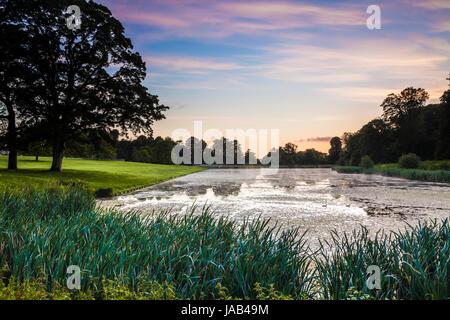 Ein Sommer Sonnenaufgang über dem See bei Lydiard Park in Swindon, Wiltshire. Stockfoto