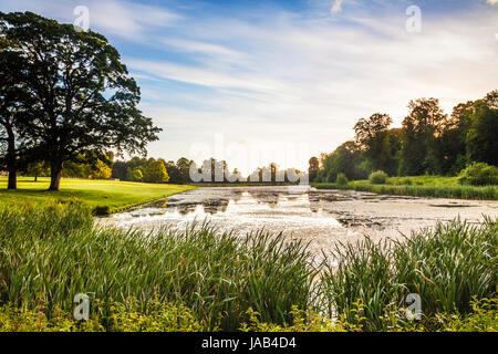 Ein Sommer Sonnenaufgang über dem See bei Lydiard Park in Swindon, Wiltshire. Stockfoto