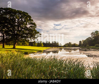 Ein Sommer Sonnenaufgang über dem See bei Lydiard Park in Swindon, Wiltshire. Stockfoto