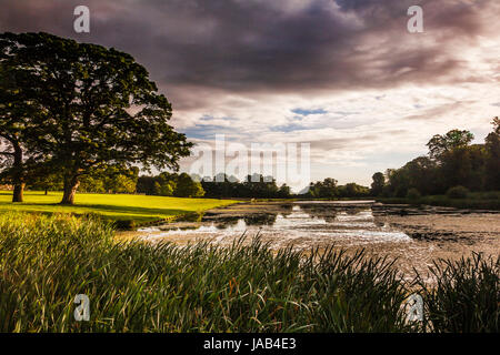 Ein Sommer Sonnenaufgang über dem See bei Lydiard Park in Swindon, Wiltshire. Stockfoto