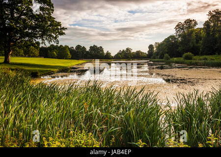 Ein Sommer Sonnenaufgang über dem See bei Lydiard Park in Swindon, Wiltshire. Stockfoto